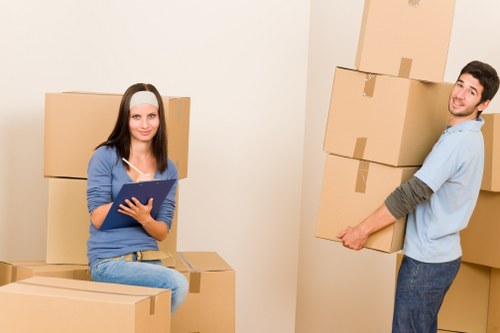 A calm and efficient moving day supported by local removal companies