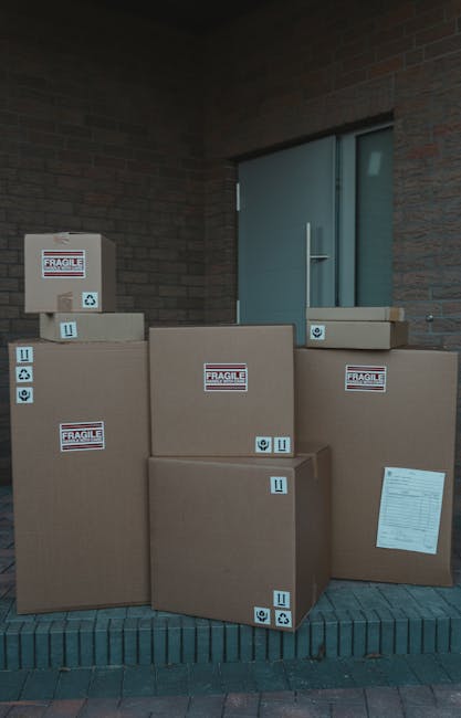 A woman sitting cross-legged on a wooden floor surrounded by numerous large cardboard moving boxes, some sealed with red or black tape, in a room with textured blue walls and a potted plant visible in